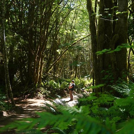 Olympic Glamping Hotel Port Angeles Luaran gambar